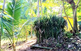 La Familia Guest House&Natural Farm