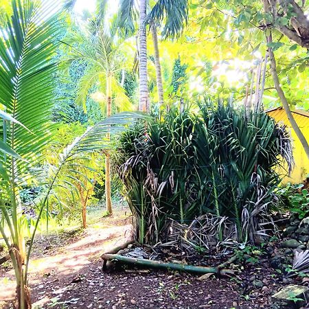 La Familia Guest House&Natural Farm Port Antonio Extérieur photo
