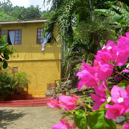 La Familia Guest House&Natural Farm Port Antonio Extérieur photo