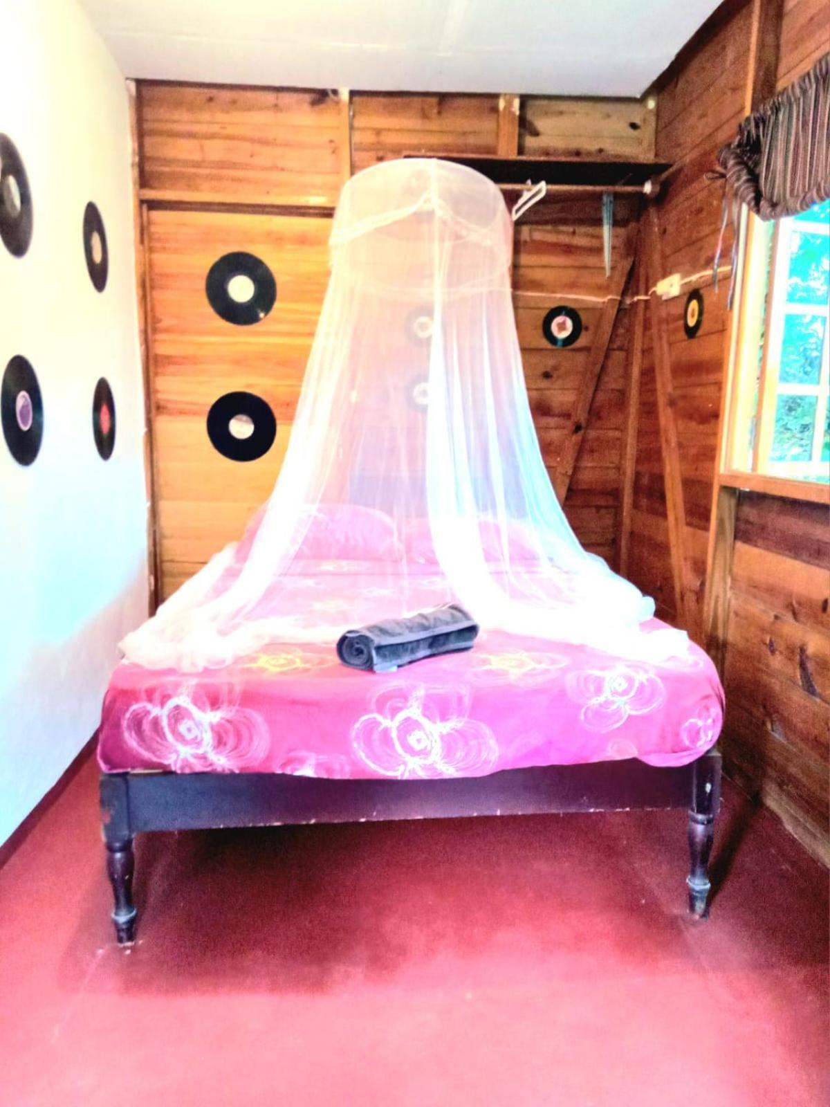 La Familia Guest House&Natural Farm Port Antonio Extérieur photo