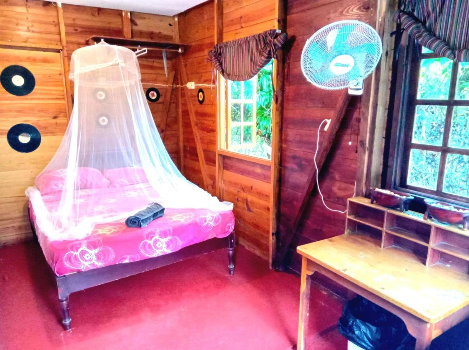 La Familia Guest House&Natural Farm Port Antonio Extérieur photo