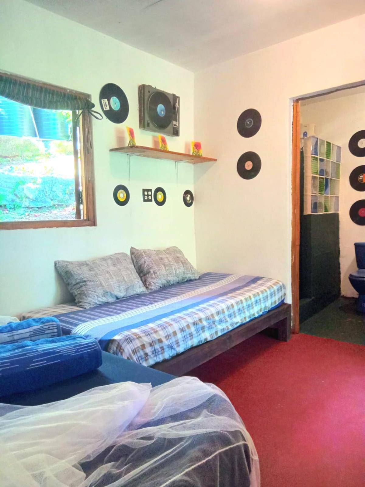 La Familia Guest House&Natural Farm Port Antonio Extérieur photo