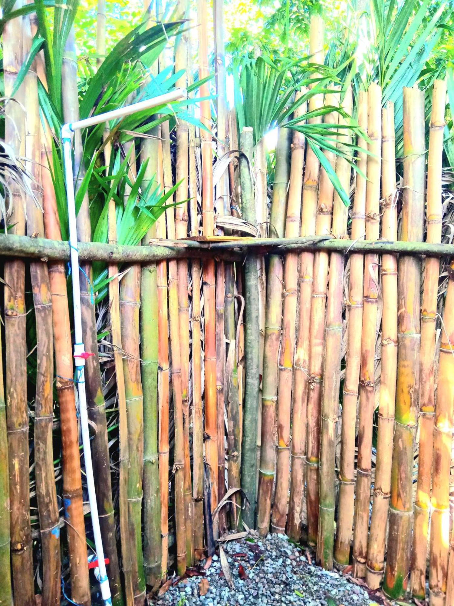 La Familia Guest House&Natural Farm Port Antonio Extérieur photo