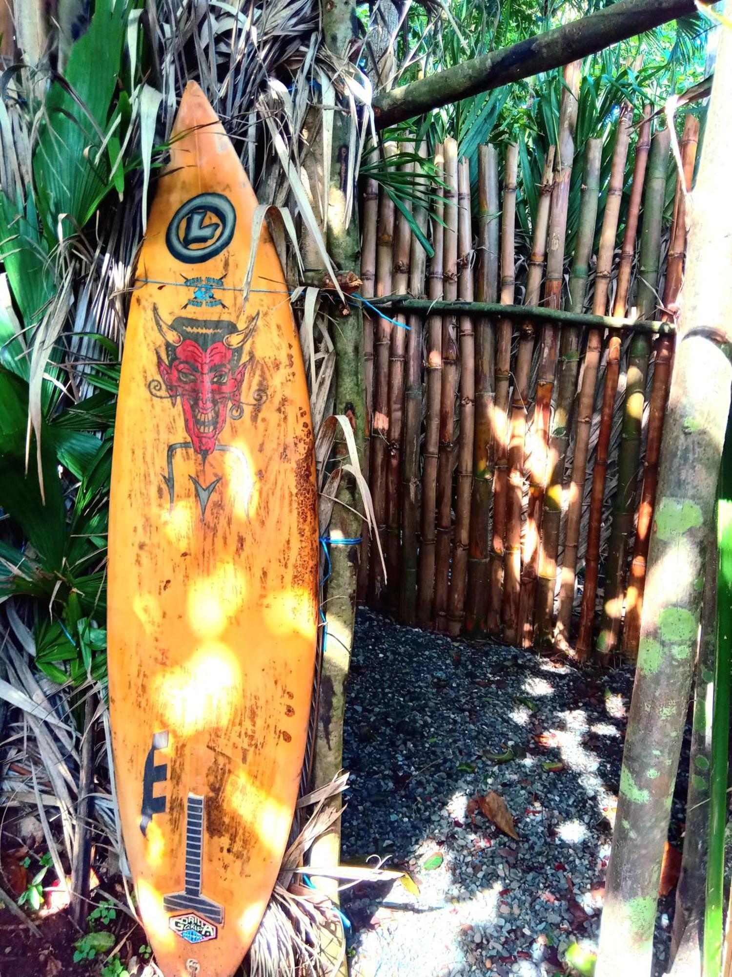 La Familia Guest House&Natural Farm Port Antonio Extérieur photo