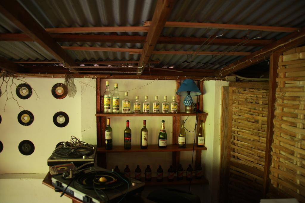 La Familia Guest House&Natural Farm Port Antonio Extérieur photo