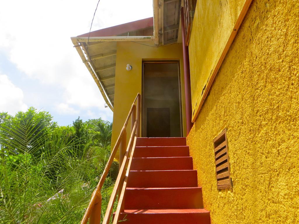 La Familia Guest House&Natural Farm Port Antonio Extérieur photo