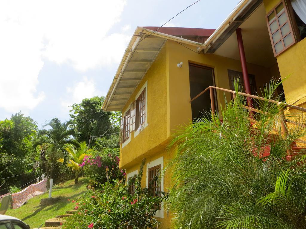 La Familia Guest House&Natural Farm Port Antonio Extérieur photo