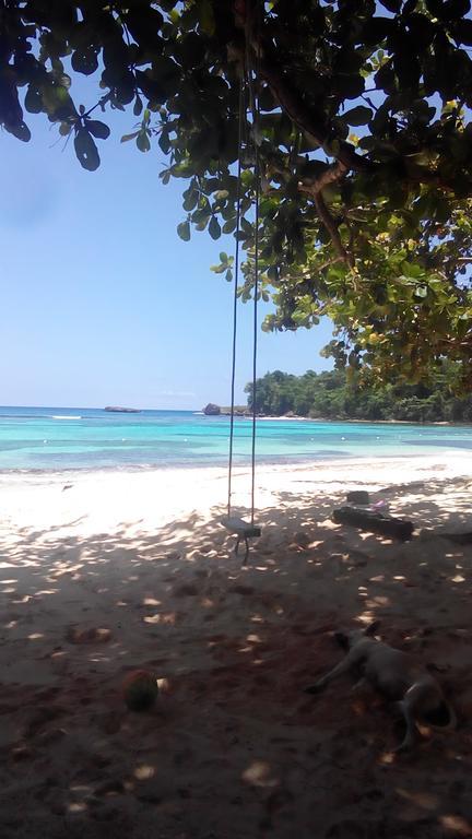La Familia Guest House&Natural Farm Port Antonio Extérieur photo