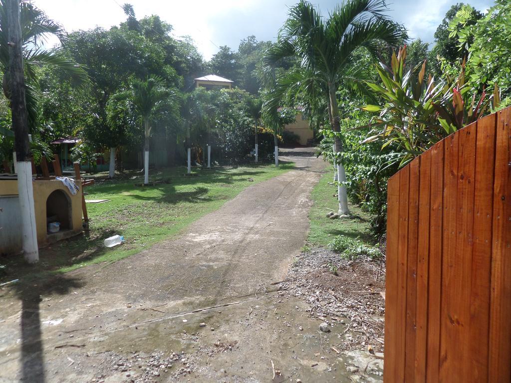 La Familia Guest House&Natural Farm Port Antonio Extérieur photo