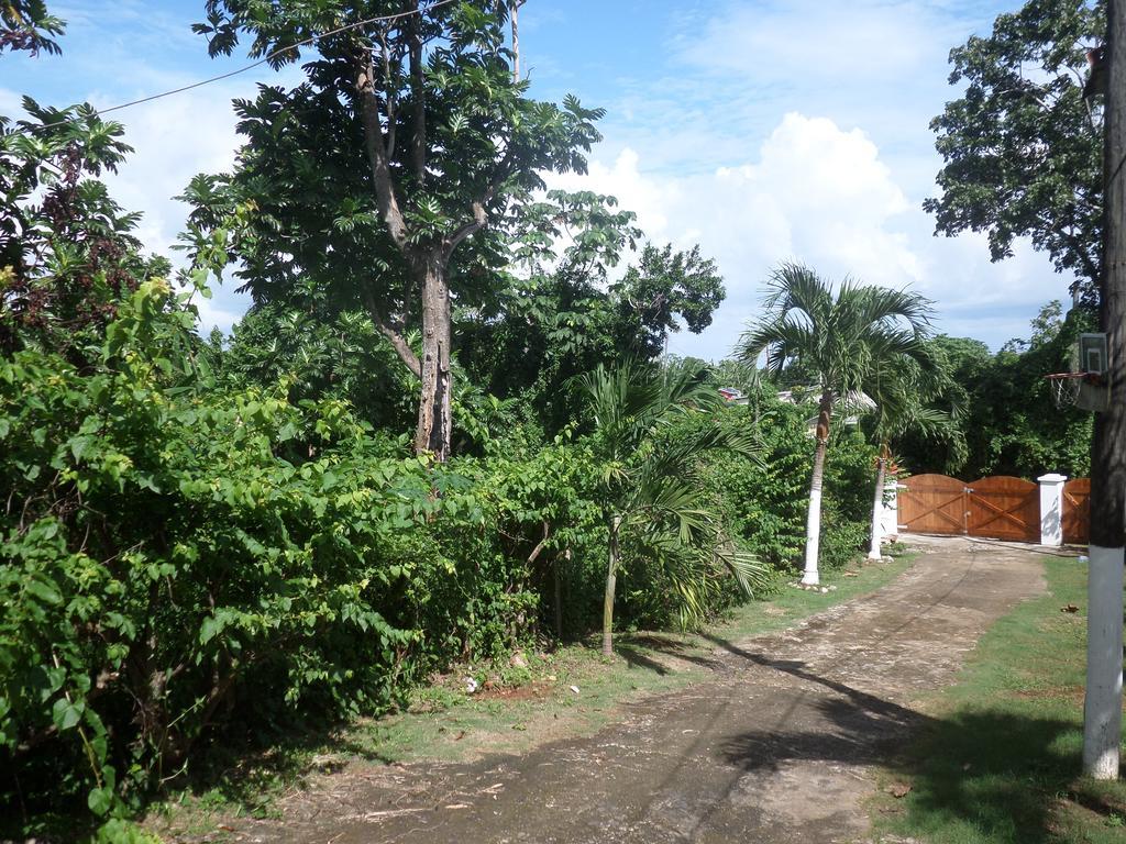 La Familia Guest House&Natural Farm Port Antonio Extérieur photo