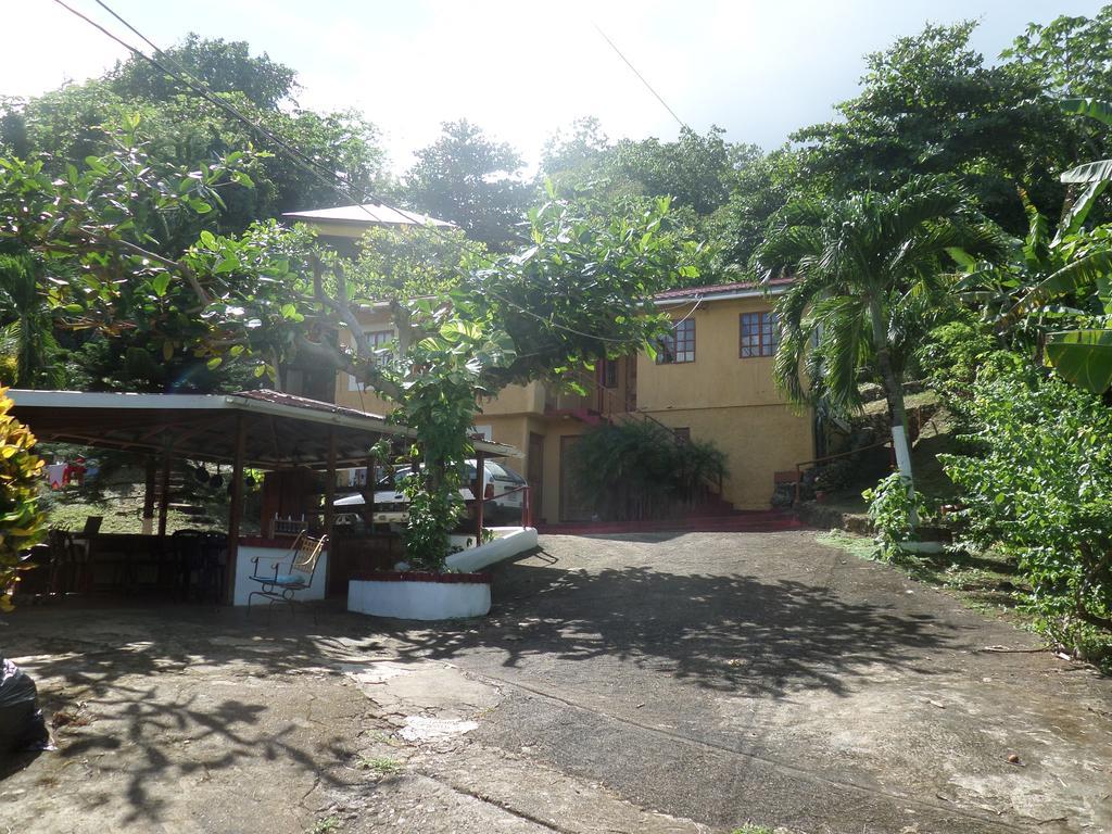 La Familia Guest House&Natural Farm Port Antonio Extérieur photo