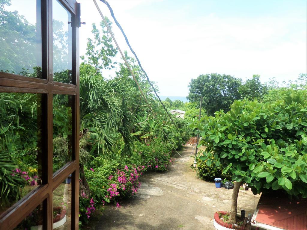 La Familia Guest House&Natural Farm Port Antonio Extérieur photo