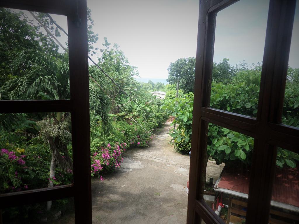 La Familia Guest House&Natural Farm Port Antonio Extérieur photo