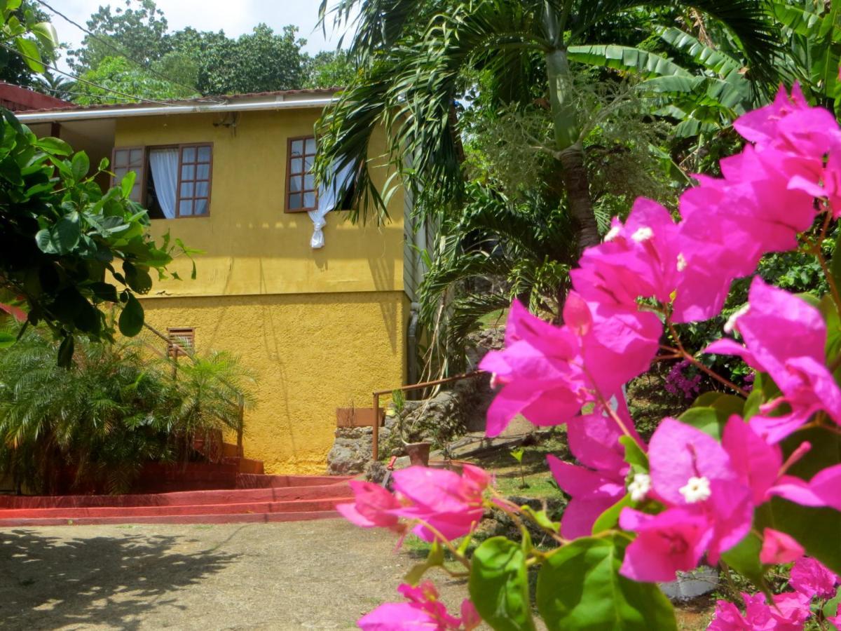 La Familia Guest House&Natural Farm Port Antonio Extérieur photo
